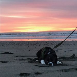 Meet your Posher, Owynn